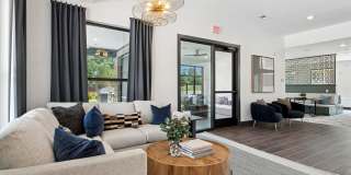 Ascend at Carlton Gallery 34