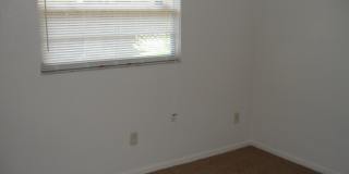 Palmetto Creek Gallery 14