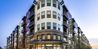 The Edition Apartments Gallery 21