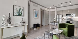 Reveal Skyline Gallery 43