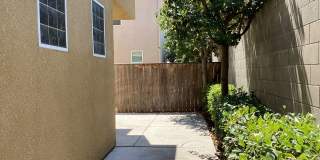 7009 N. Harmony Drive Gallery 41