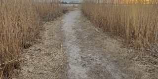 13 Bowdoin Road Gallery 1