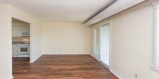 Chestnut Hill North Apartments Gallery 15