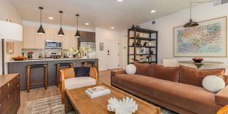 The Clara Gallery 19