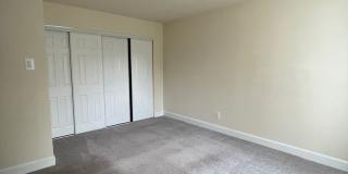 Northgate Gallery 235