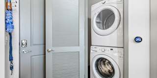 Pearl Dadeland Gallery 8