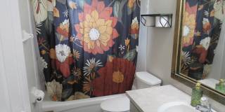 2704 Fern Palm Dr Gallery 13