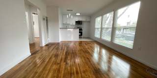 5700 Hazeltine Ave. Gallery 38