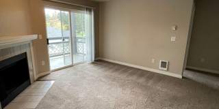 The Signature Gallery 7