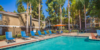 Island Club Apartments Island Club Apartments Gallery 21