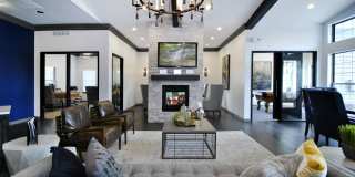 The Haven of Ann Arbor Gallery 3