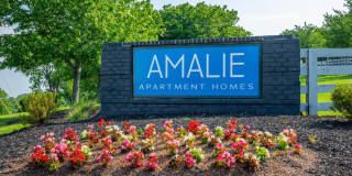 Amalie Apartment Homes Gallery 39