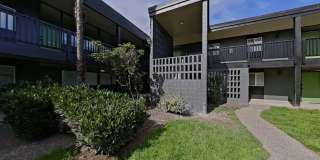 University Manor - Newly Renovated Units just a short walk from Campus! Gallery 96