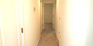 4405 APEX Lane Gallery 9