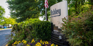 Ashley Apartments Gallery 6