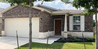 208 TEXAS THISTLE Gallery 1