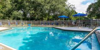 Collington Apartments Gallery 29