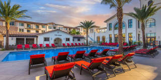 Vineyards Gallery 58