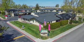 PepperTree Village Gallery 22