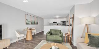 The Meadows Gallery 29