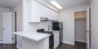 Emily Dickinson Gallery 4