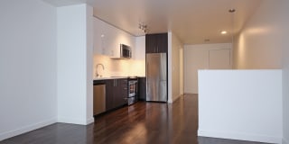 Rooster Gallery 42