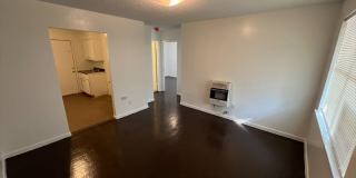 797 Richmond Ave Gallery 4