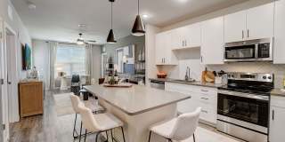 Ilumina Zephyrhills Gallery 3