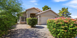 2525 East Camino Street 2525 East Camino Street Gallery 1