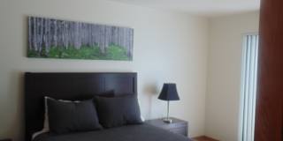 Short-mid term housing, furnished condo 2 bed/2 bath walking distance to Pearl St., CU and close to Hiking and Biking Gallery 8