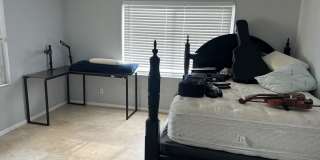 3137 S Atlantic Ave Gallery 18