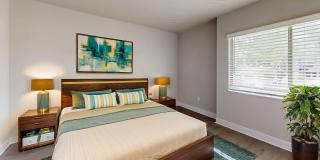 Soto Apartments Gallery 4