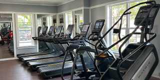 TGM Creekside Village Gallery 26