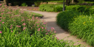 The Metropolitan at 40 Park Gallery 34