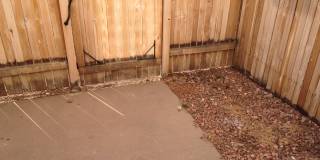 4205 Hunting Meadows Circle Gallery 16