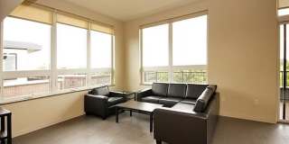 The Elysian Gallery 424