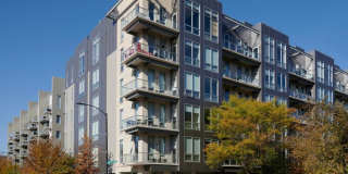 1100 W Adams St Gallery 1