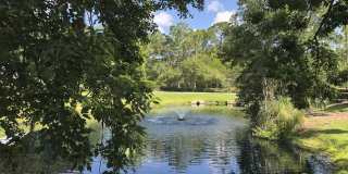 13009 BENT PINE Court E Gallery 26