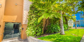 1951 Frank St. / 2519 Virginia Ave Gallery 54