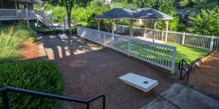 Forest Glen Forest Glen Gallery 12