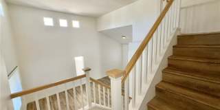 9729 Trail Rider Drive Gallery 14