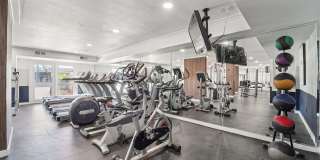 Windsor Manor Gallery 26