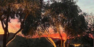 13075 W DESERT VISTA Trail Gallery 26