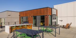 Arlo Gallery 65