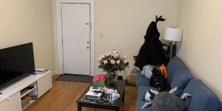 236 Kelton St. Gallery 2