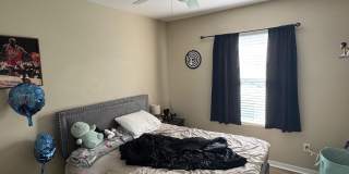 Gated Plant City Gem – Fully Upgraded Home- Resort Style Amenities Gallery 11