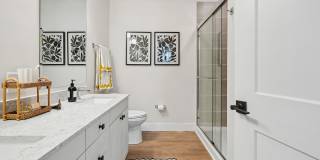 NOVEL Davidson Gallery 33