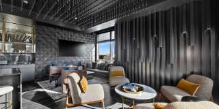 Stellar Gallery 3