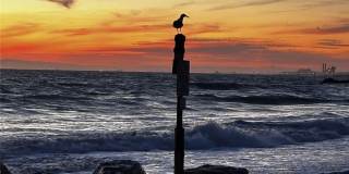 1826 W Balboa Boulevard Gallery 23