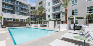 Essence Essence Gallery 35